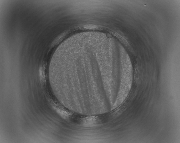 X0000082700116200702161800