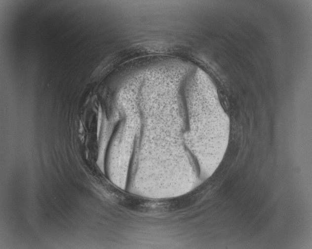 X0000082700117200702161800