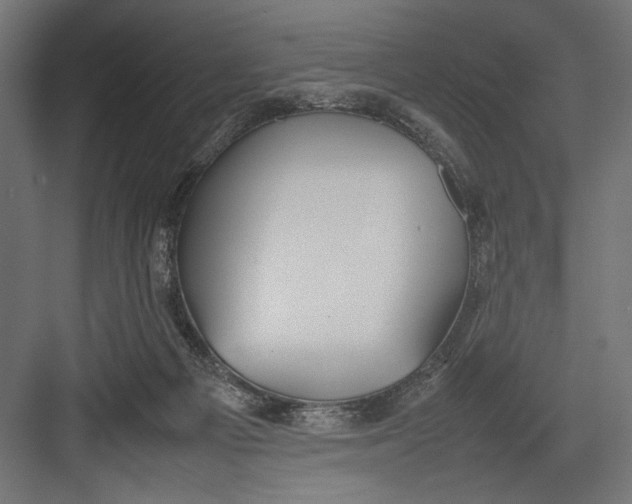 X0000082700121200702161800