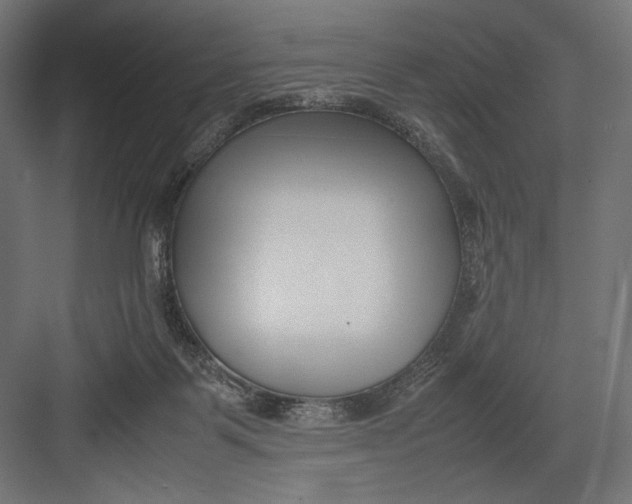 X0000082700123200702161800