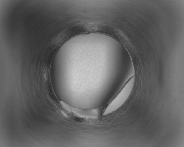 X0000082700125200702161800