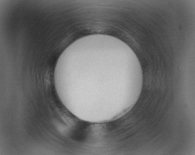 X0000082700126200702161800