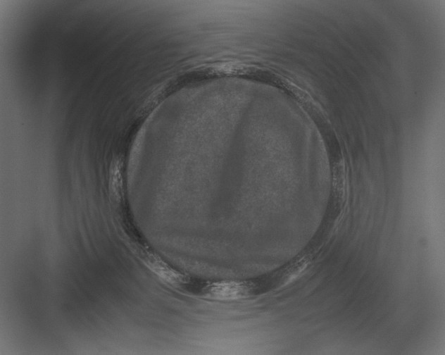 X0000082700127200702161800