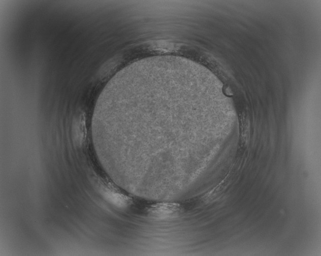 X0000082700128200702161800