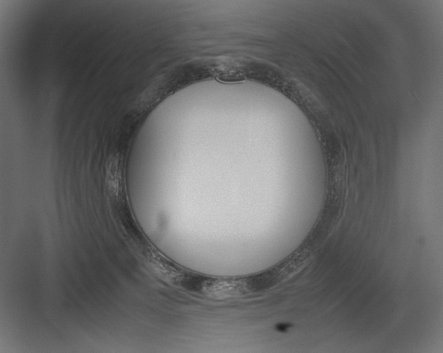 X0000082700129200702161759