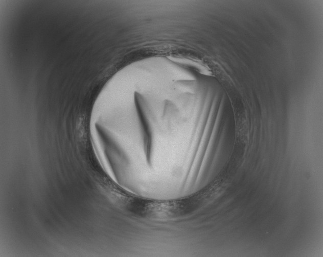 X0000082700131200702161759