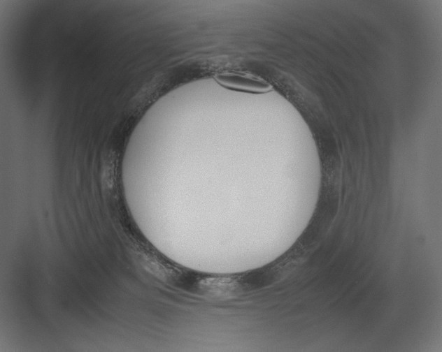 X0000082700133200702161759