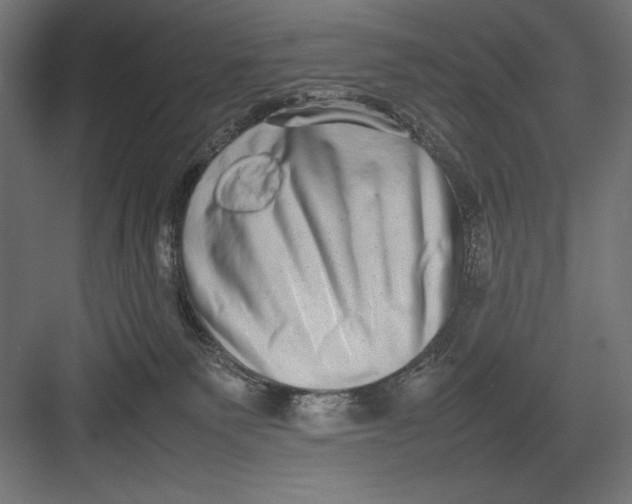 X0000082700135200702161759