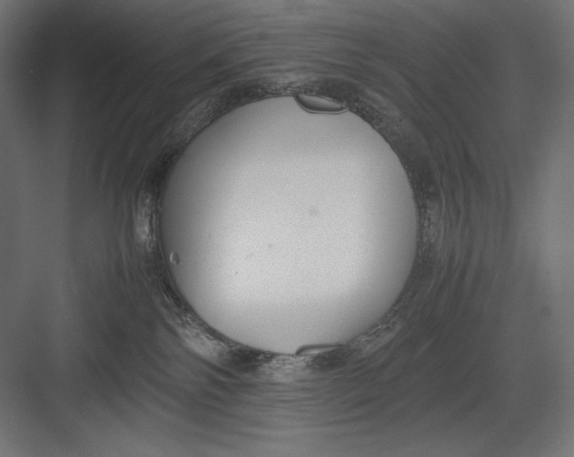 X0000082700138200702161759