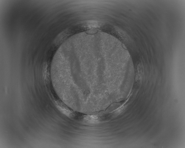 X0000082700140200702161759