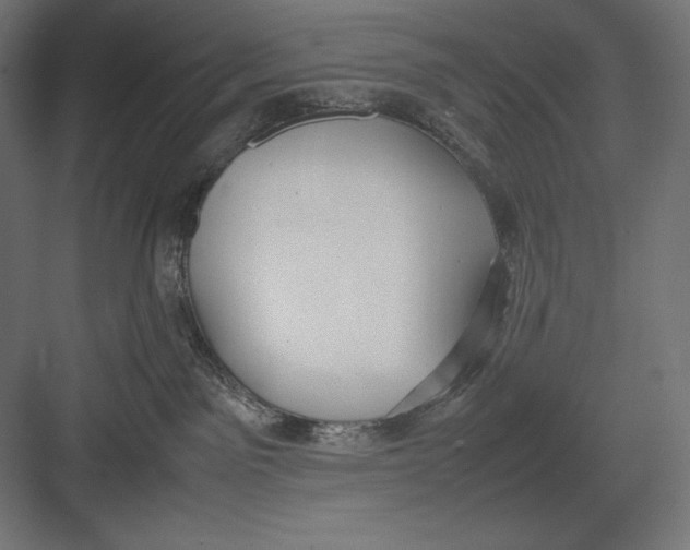 X0000082700141200702161759