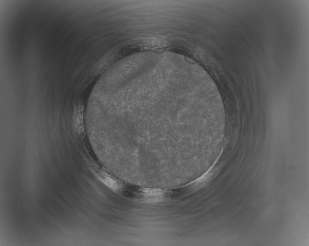 X0000082700144200702161759