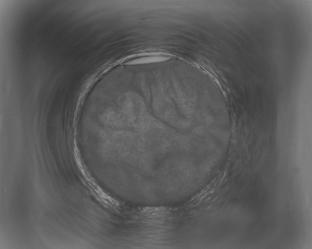 X0000082700145200702161758