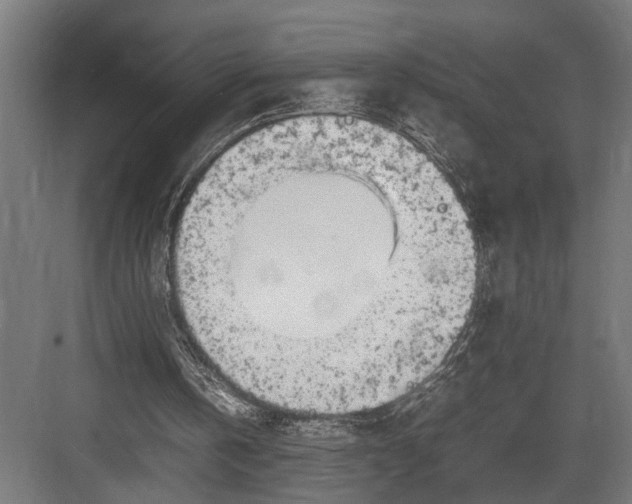 X0000082700146200702161758