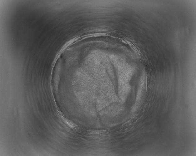 X0000082700147200702161758