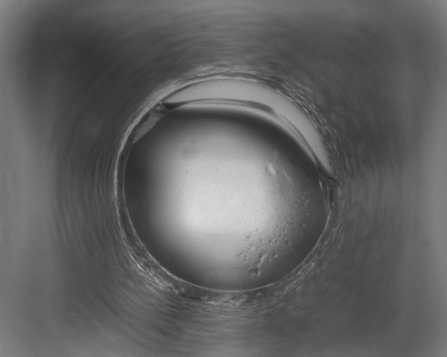 X0000082700148200702161758