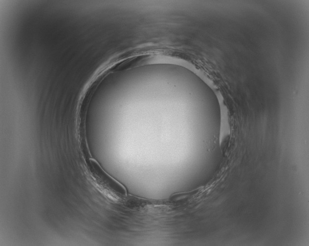 X0000082700150200702161759