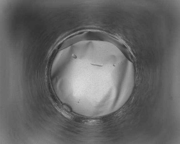 X0000082700151200702161759