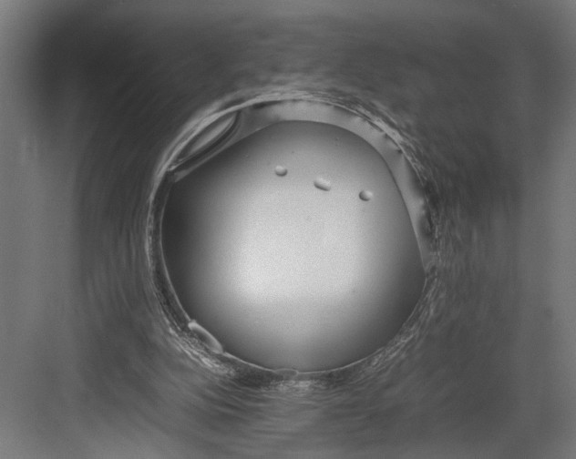 X0000082700152200702161759