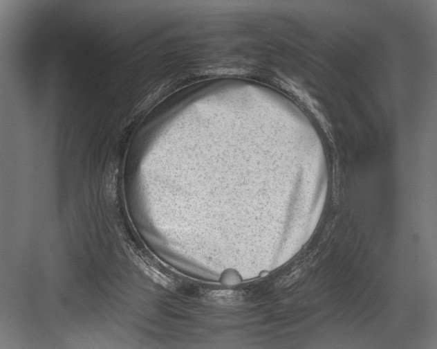 X0000082700153200702161759