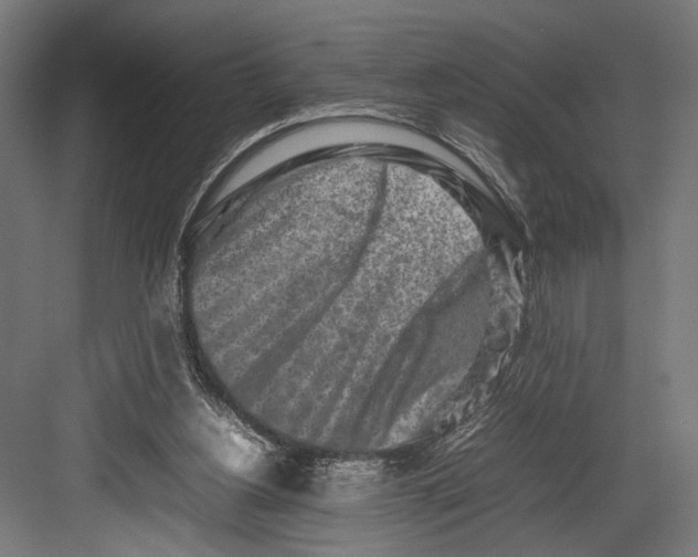 X0000082700156200702161759