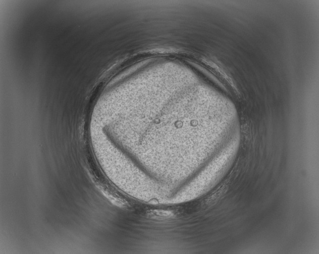 X0000082700159200702161759