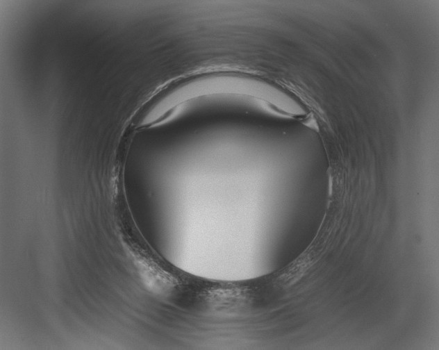 X0000082700160200702161759