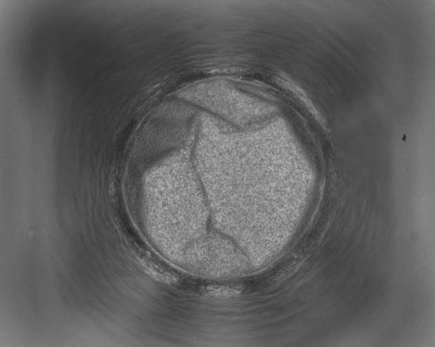 X0000082700161200702161759