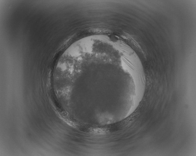 X0000082700163200702161759