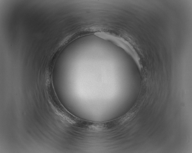 X0000082700164200702161759