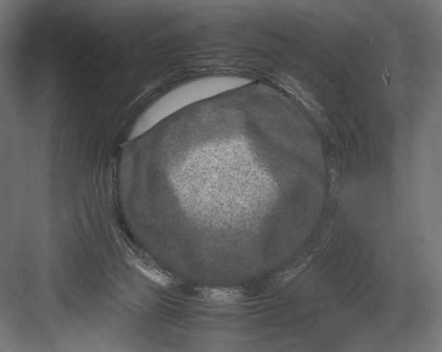 X0000082700165200702161759