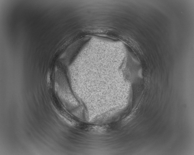 X0000082700166200702161759