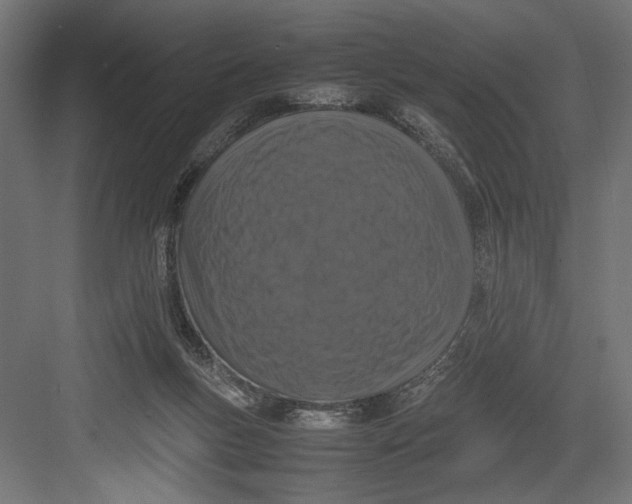 X0000082700167200702161759