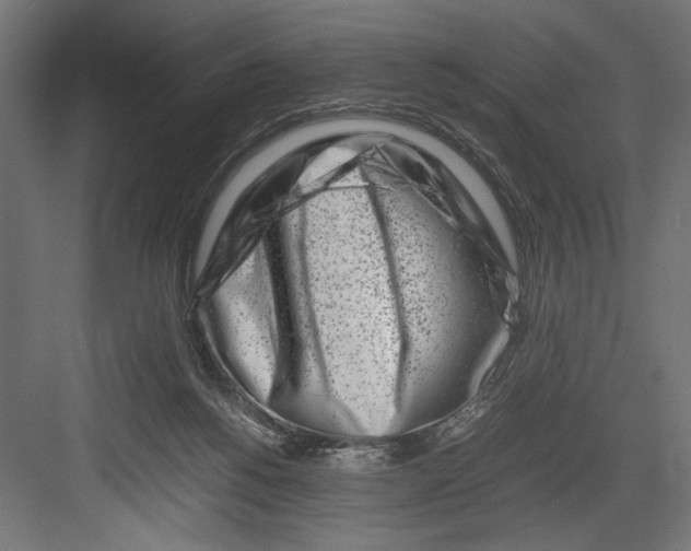 X0000082700168200702161759