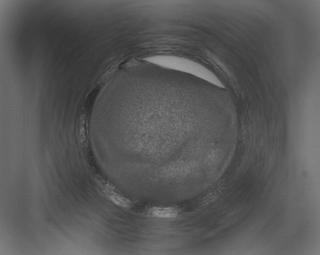 X0000082700169200702161759