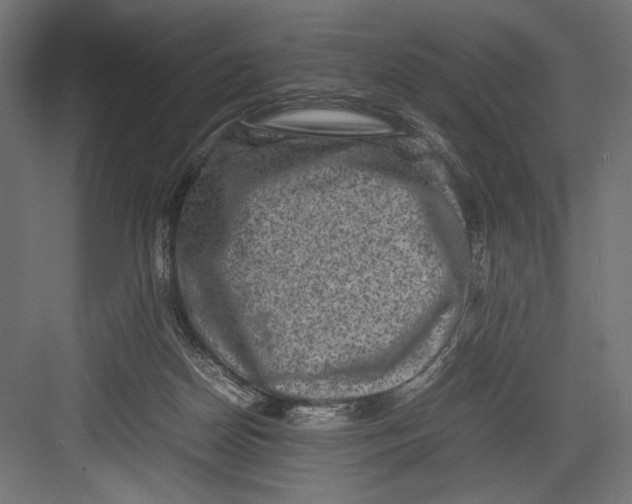 X0000082700170200702161759