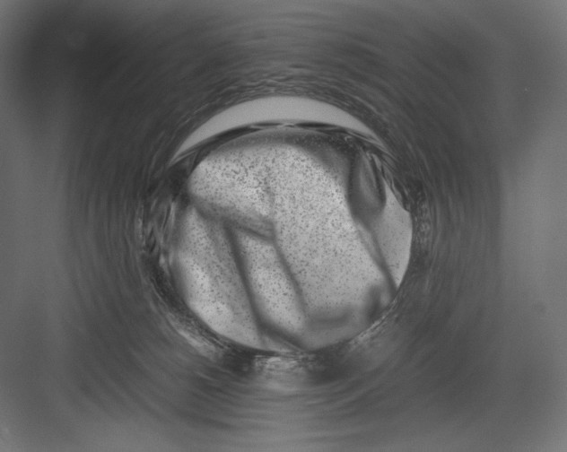 X0000082700180200702161759