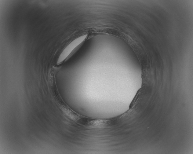 X0000082700184200702161759