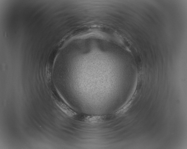 X0000082700186200702161759