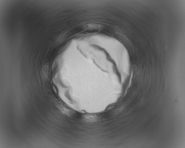 X0000082700189200702161759