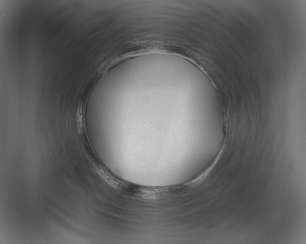 X0000082700190200702161759