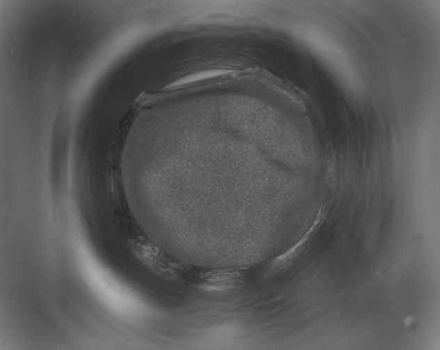 X0000082700191200702161759