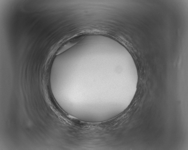 X0000082700193200702161758