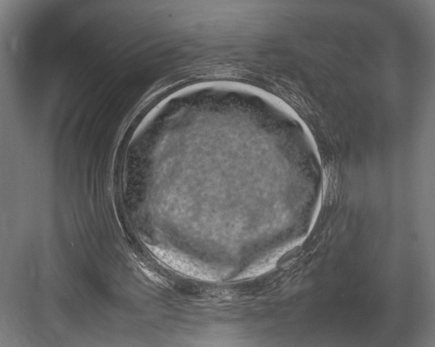 X0000082700195200702161758