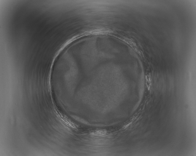 X0000082700196200702161758