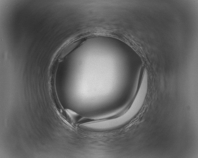 X0000082700197200702161758