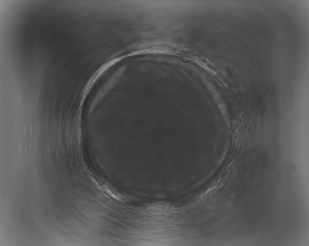 X0000082700200200702161758