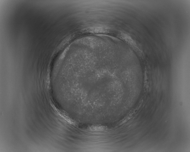 X0000082700202200702161758