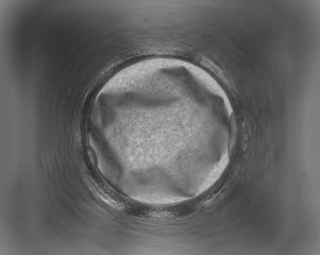 X0000082700203200702161758