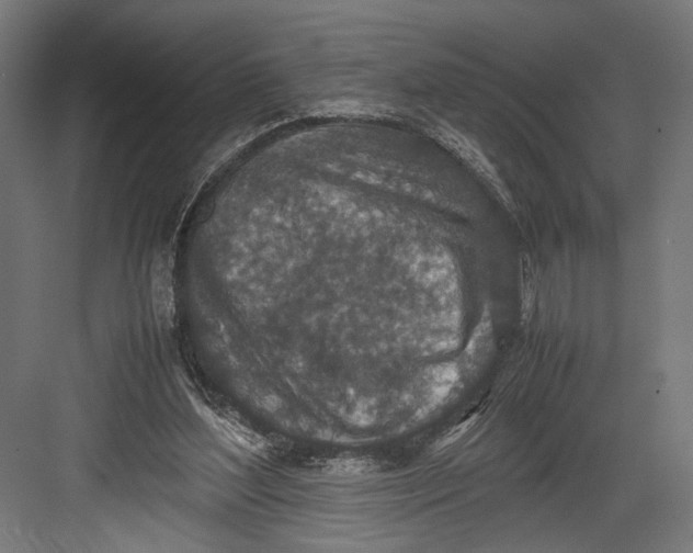 X0000082700204200702161758